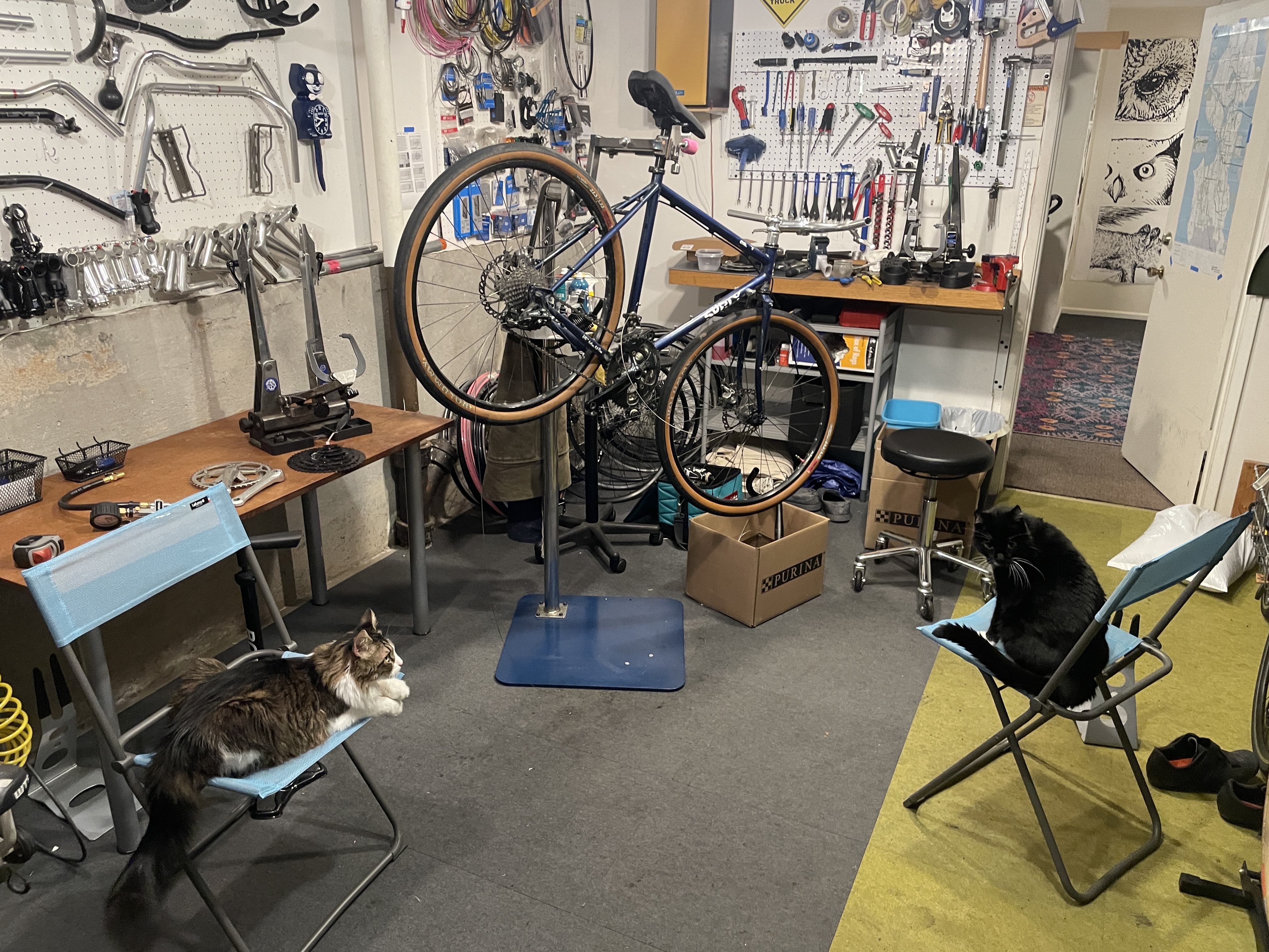 Toby and Boots in garage